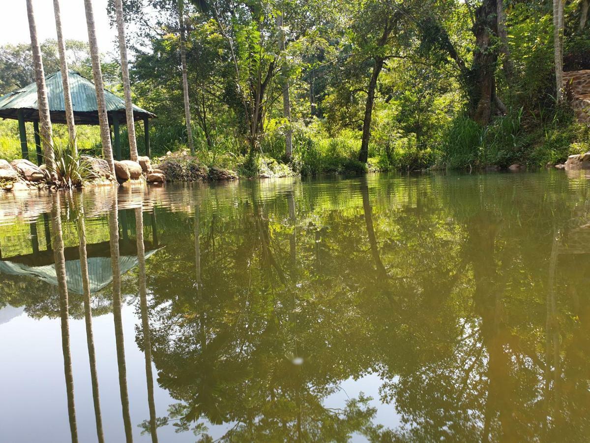 Nature Hub Koslanda Экстерьер фото
