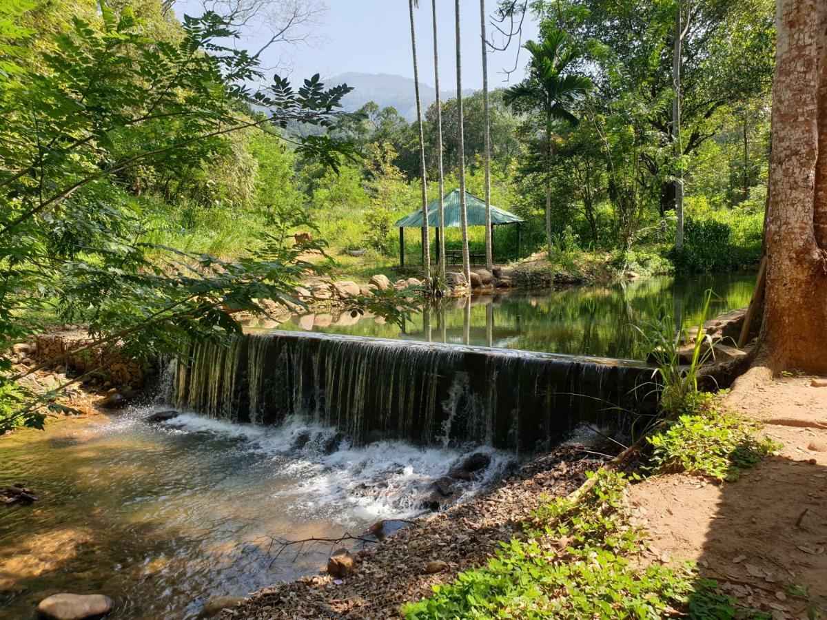 Nature Hub Koslanda Экстерьер фото