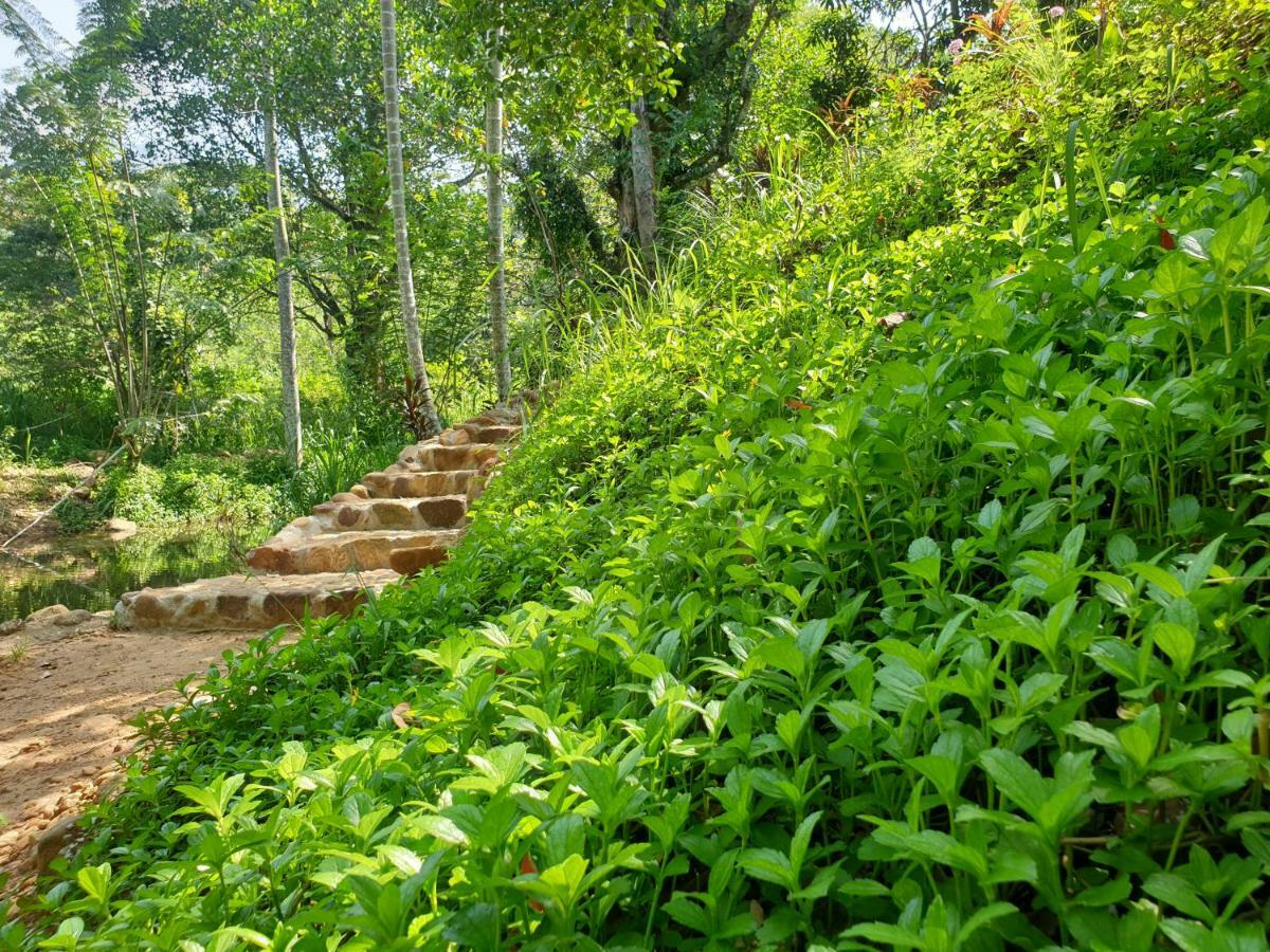 Nature Hub Koslanda Экстерьер фото
